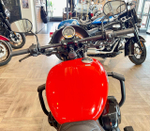 Harley-Davidson Street 750, 2020