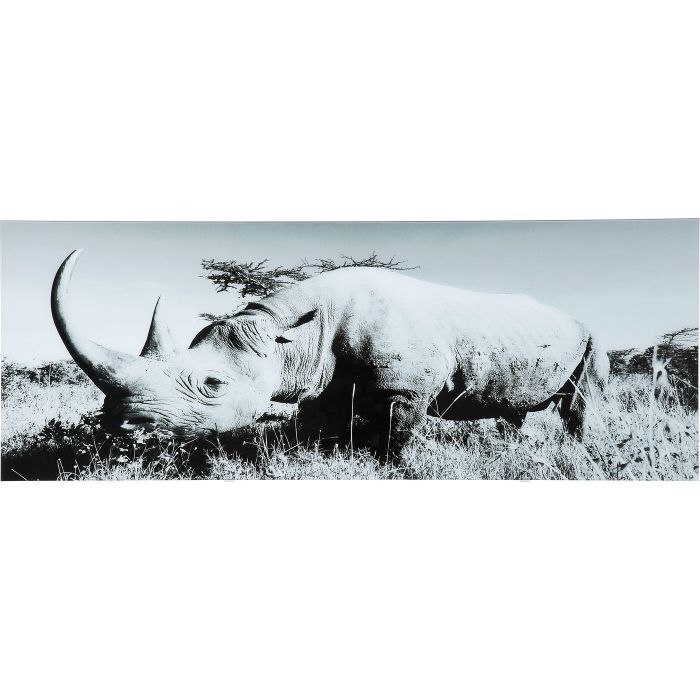 Картина Rhino 35847 KARE