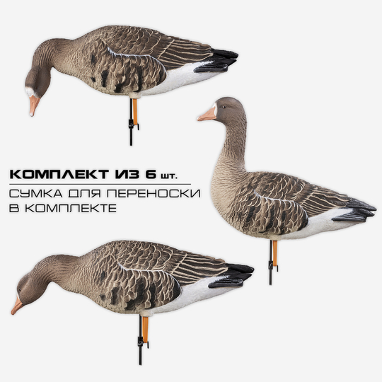 Белолобый гусь Duck Mania "ELITE" комплект (6 шт.)