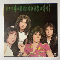 Винтажная виниловая пластинка LP Y and T Earthshaker (Japan 1982) (No Obi)