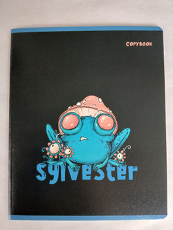 Тетради 48 листа А5+. "Сильвестр", общая, клетка. Формат А5+ (163*203 мм). Арт.120008. С полями. Комплект 5 шт.