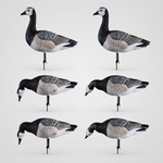 Белощекая казарка Duck Mania "ELITE"