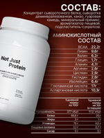 Протеин с шоколадом Not Just Protein 900 г