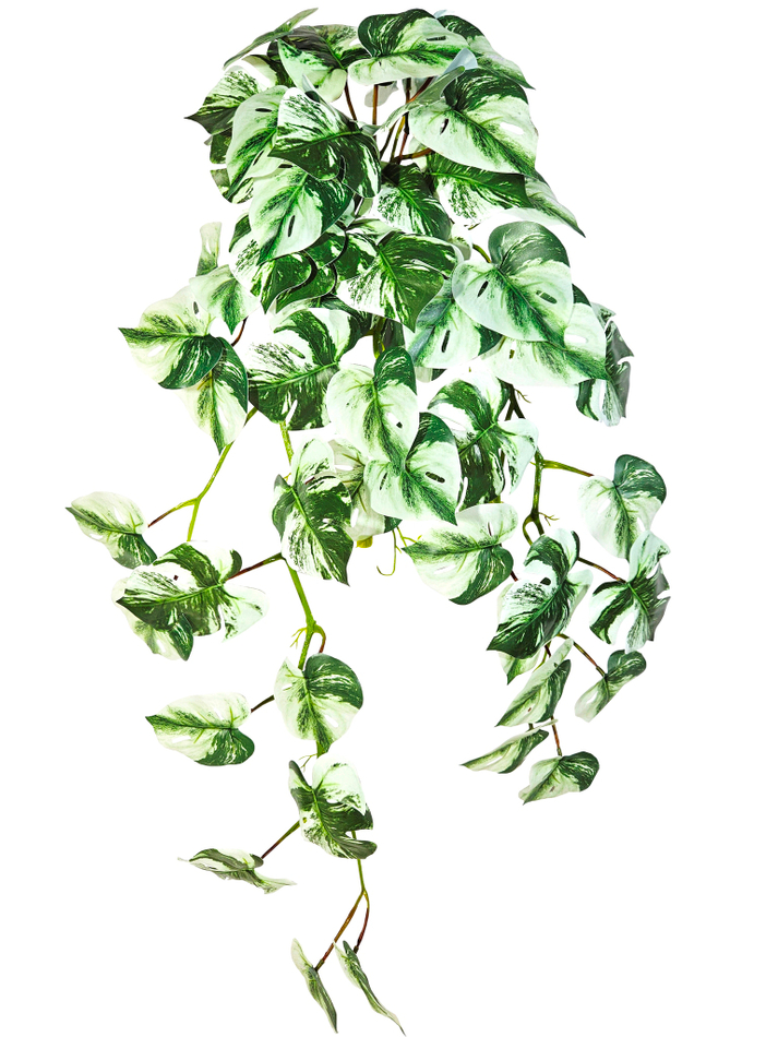 Искусственное ампельное растение Монстера Тайское созвездие в настенном белом кашпо