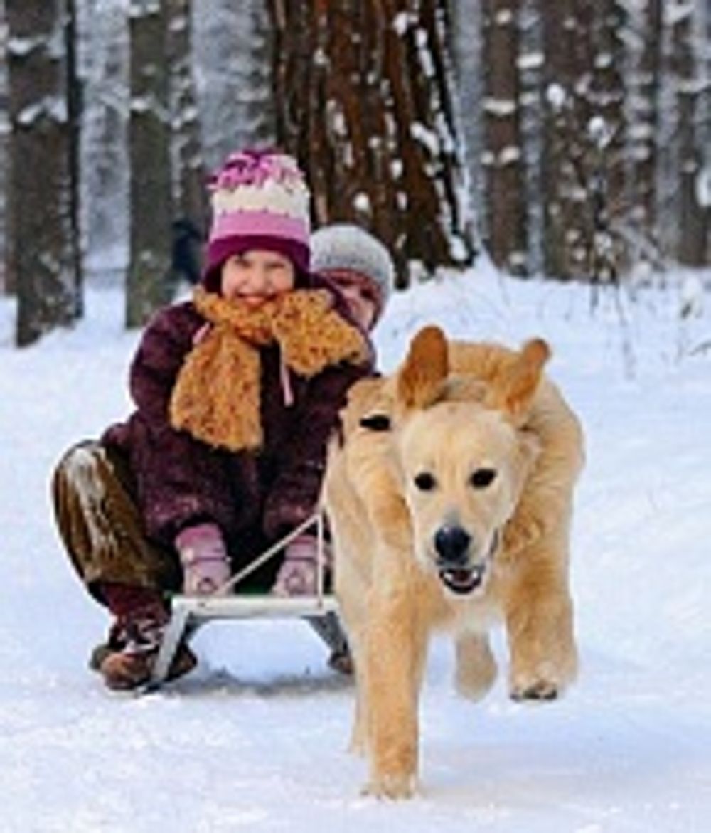 Бренды. Основные отличия и с чем их "едят".