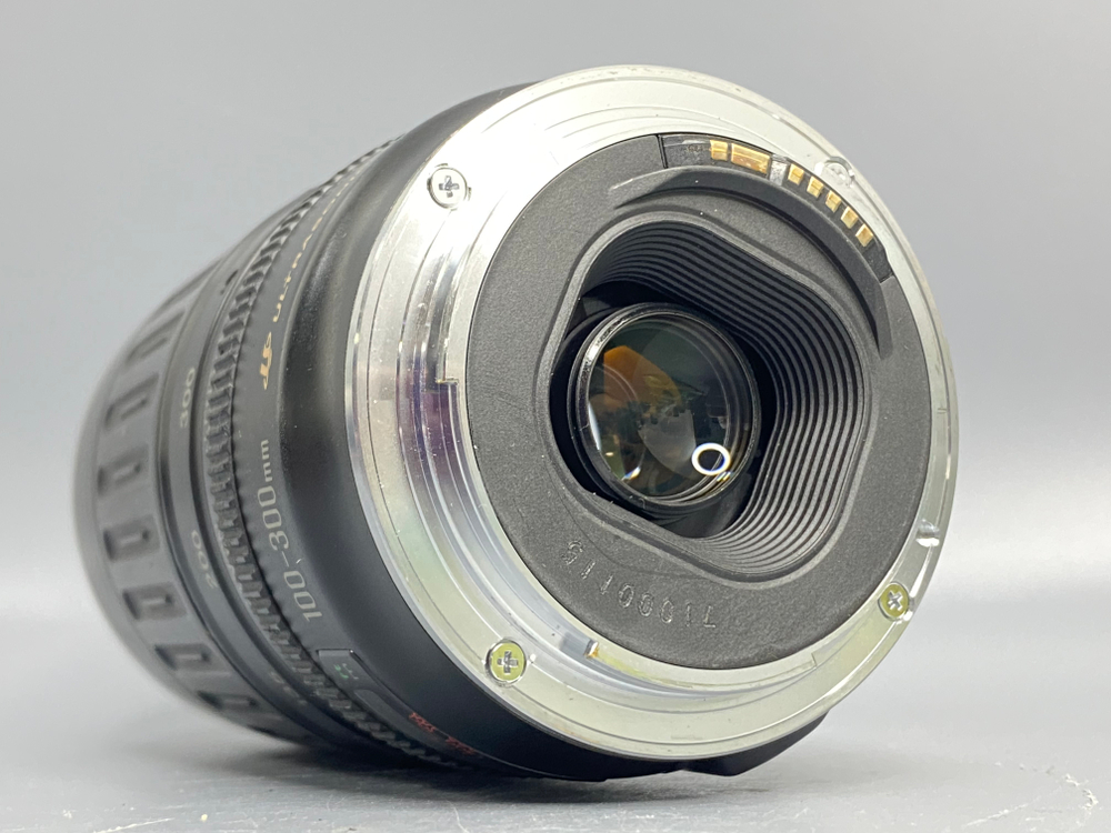 Canon EF 100-300mm USM Пылинки внутри