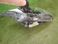 DSCN5124.jpg
