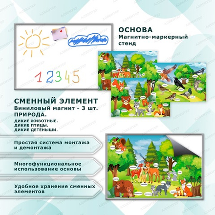 Комплект развивающий ПРИРОДА. ДИКИЕ ДЕТЁНЫШИ. ДИКИЕ ЖИВОТНЫЕ. ДИКИЕ ПТИЦЫ. 2194