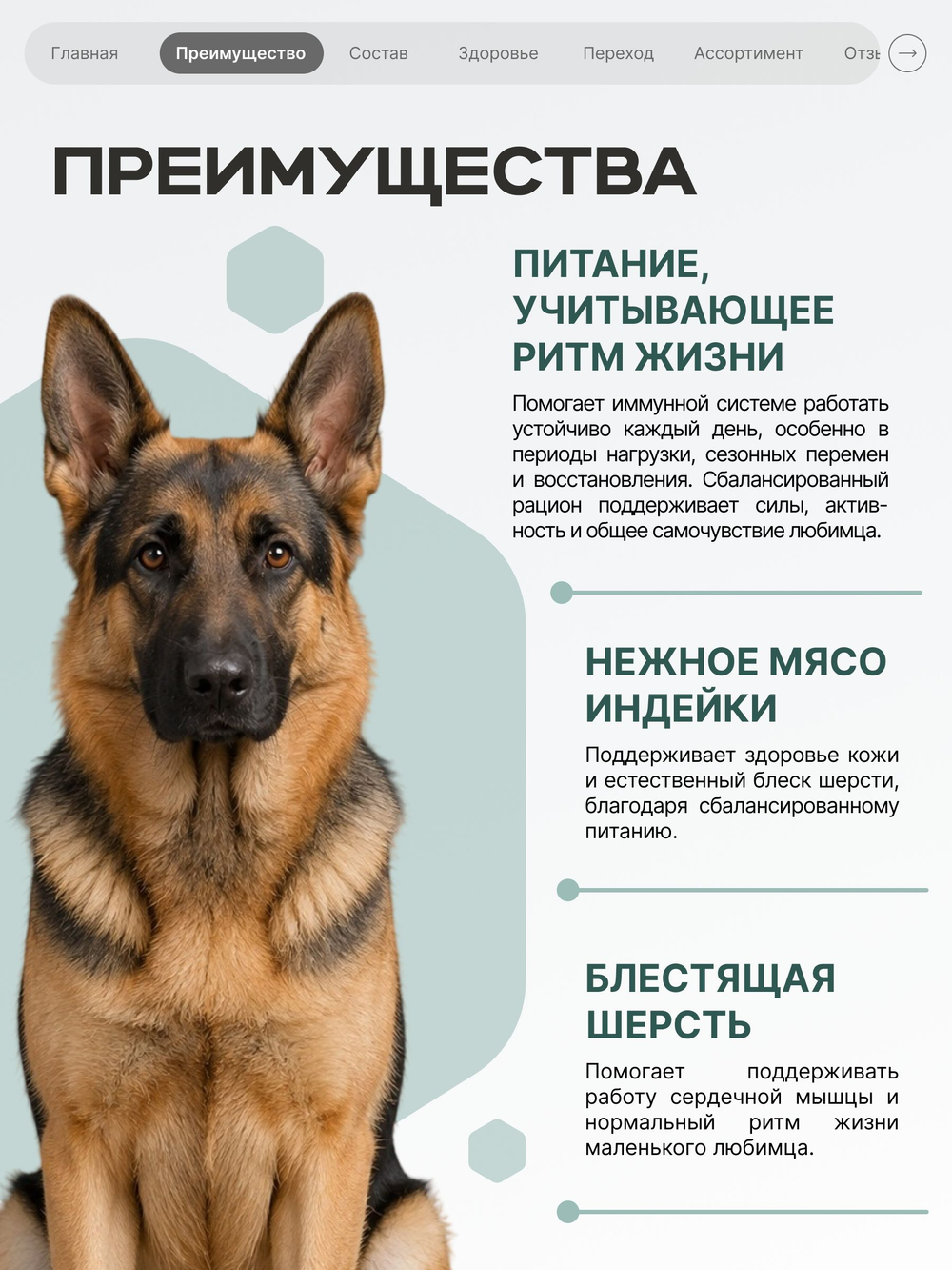 Корм для собак средних и крупных пород SF Immuno Balance, (гистиоцитарные опухоли), 3 кг, QUATTRO
