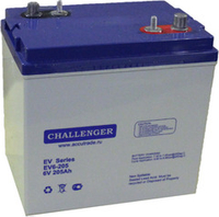 Тяговая аккумуляторная батарея Challenger EVG6-205