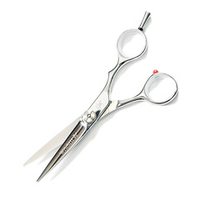 Ножницы парикмахерские для слайсинга 5.5" Washi Sable Split