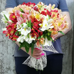 Букет цветов «Альстромерии микс 19»