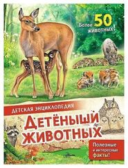 Детеныши животных