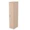 2Ш.012.1 Шкаф для одежды высокий (395*600*1960)
