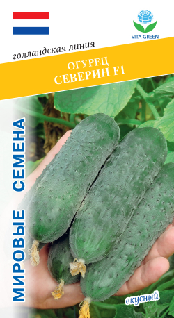 Огурец Северин F1 7шт Мировые Семена VITA GREEN