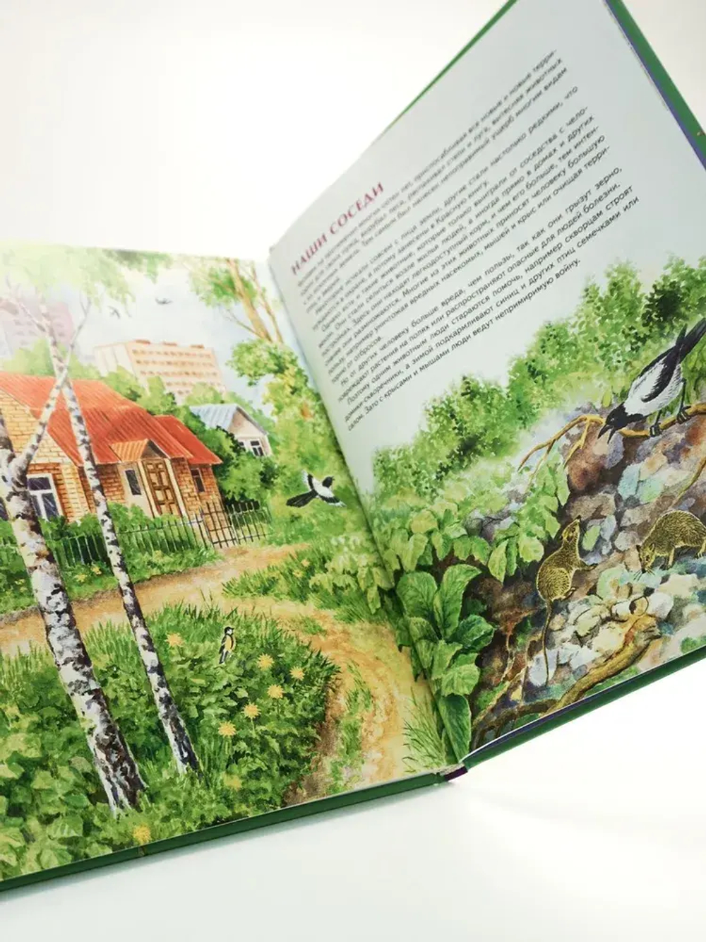 Природа России. Иллюстрированная энциклопедия