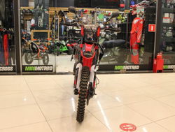 Кроссовый мотоцикл FXmoto Raptor (NC300) 21/18