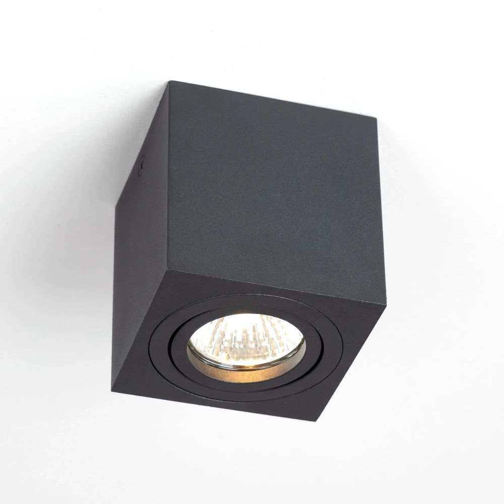 Citilux Дюрен CL538213 Светильник накладной поворотный Чёрный