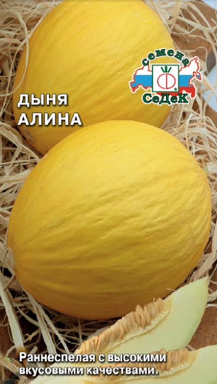 дыня Алина