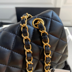 Chane1 Classic Flap Bag 25 cm