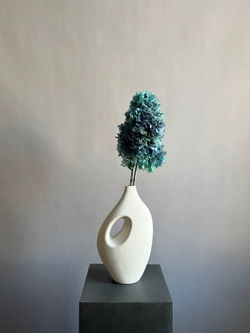 Гортензия стабилизированная голубая крупнолистная