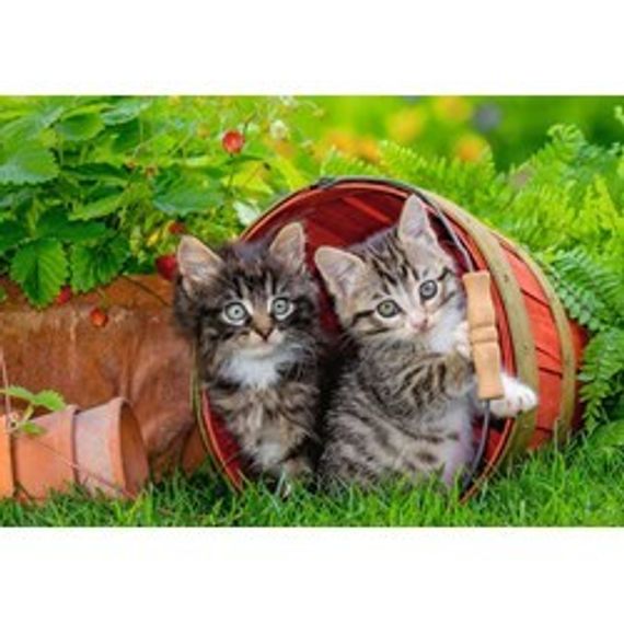 Puzzle Kitten Adventures 2x12 pcs