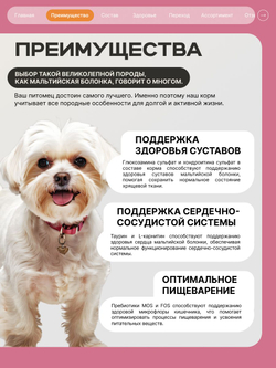Корм сухой для взрослых собак породы Мальтийская болонка, с индейкой, 2,5 кг, QUATTRO