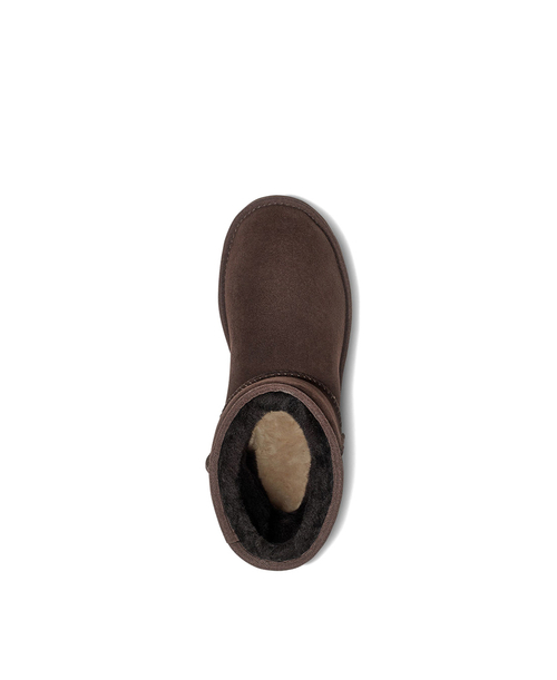 CLASSIC SHORT II-chocolate
