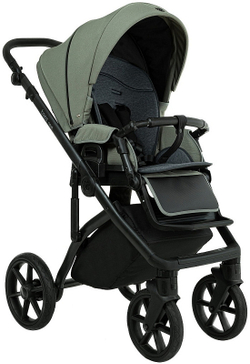 Детская коляска Roan Bass Next 3 в 1 с автокреслом Tutis Elo Black BSN/43/2 Sage Green/Black/ руч.Black