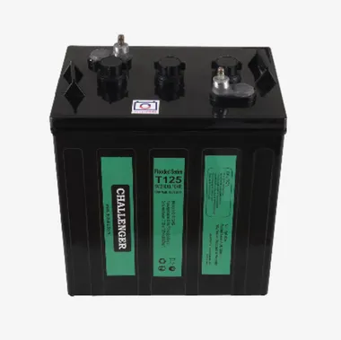 Аккумуляторы Challenger T-125 - изображение 1 Аккумуляторы Challenger T-125 - фото 1