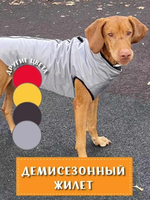 Жилет для собак мелких и средних пород зимний