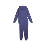 Мужской костюм PUMA Hooded Sweat Suit TR