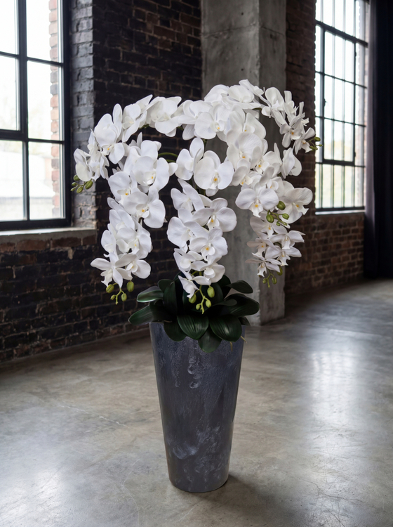 Искусственные орхидеи белые люкс 7 веток в кашпо Графит