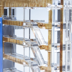 Муравьиная ферма СОТОЧКА 3.0