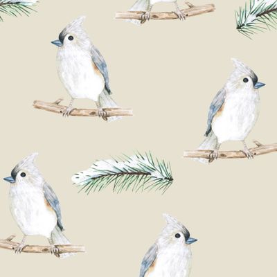 зимние птички