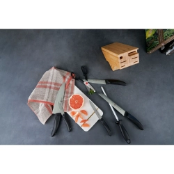 Zwilling Набор из 5 ножей Style в блоке
