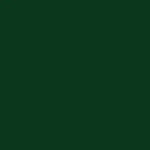 RAL 6005 520мл зеленый мох акриловая краска аэрозольный баллончик Gamma Paint РАЛ 6005