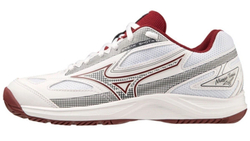 Женские теннисные кроссовки Mizuno Break Shot 4 AC