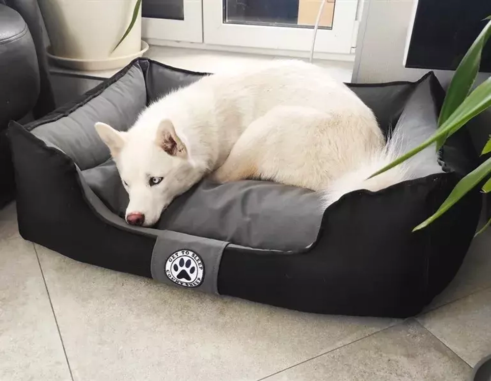 лежанка с бортиками и съемным чехлом для собак крупных пород