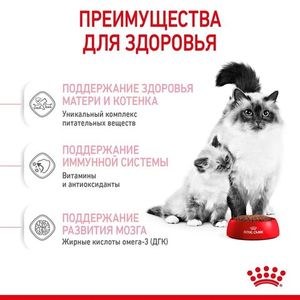 Уценка! Срок до 04.2024/ Корм для котят и беременных кошек, Royal Canin Mother&Babycat