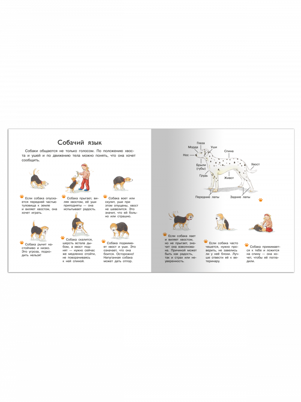 Первая книга знаний. Наш четвероногий друг