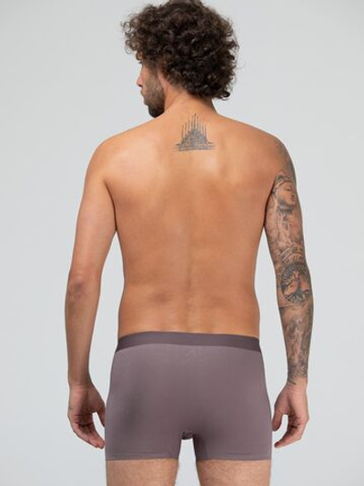 Мужские трусы-боксеры из вискозного полотна (Размер: L) (Цвет: коричневый)