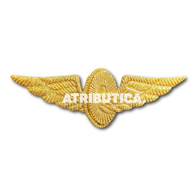 Эмблема На Тулью Фуражки Техзнак РЖД Золотистая