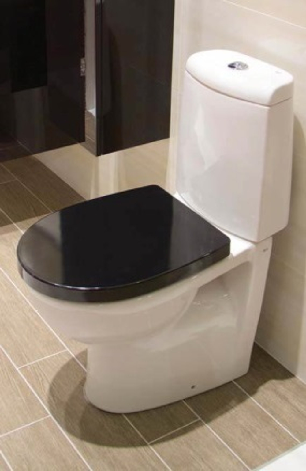 Унитаз напольный Roca Victoria Nord 7342ND7000  (чаша)