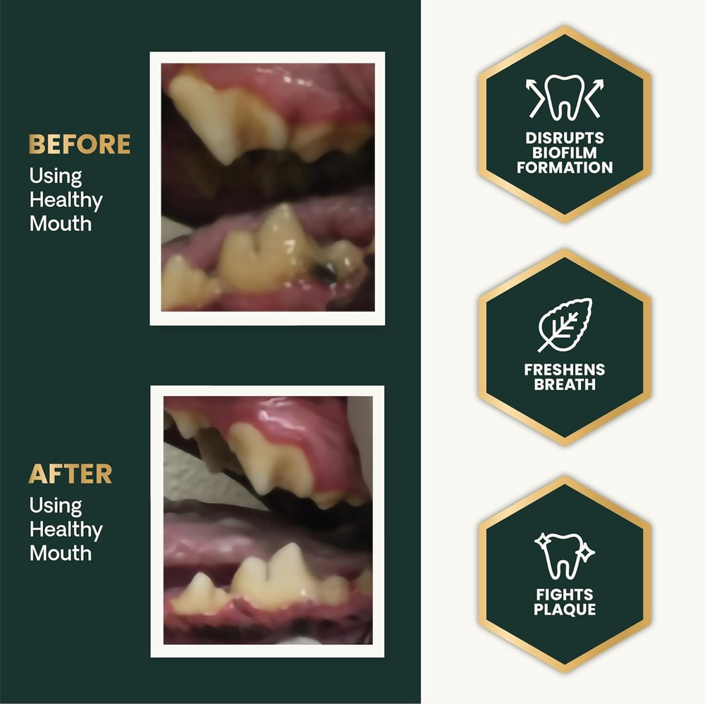 VetriScience Healthy Mouth Dental Powder (ex.Perio Support) добавка в пищу