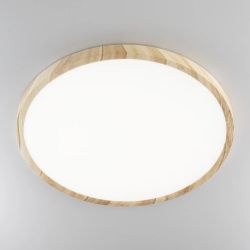 Citilux БейсикCL738322V LED Светильник накладной Клён