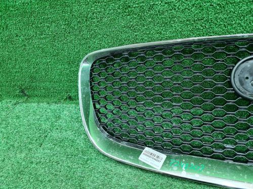 Решетка радиатора Jaguar F-PACE (2016-2020)