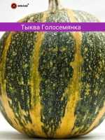 Тыква Голосемянка семена 20шт