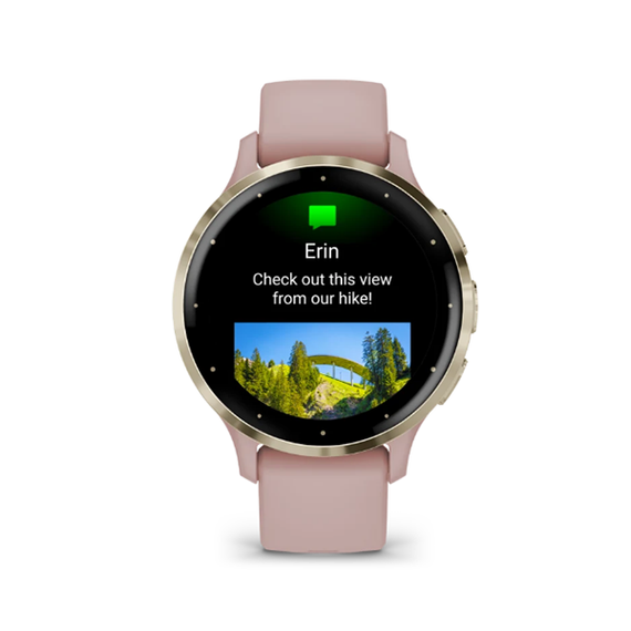 Умные часы Garmin Venu 3S 41 мм Безель из нержавеющей стали из мягкого золота с корпусом в форме пыльной розы и силиконовым ремешком (010-02785-03)