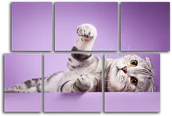 Модульная картина "Кот на фиолетовом фоне"